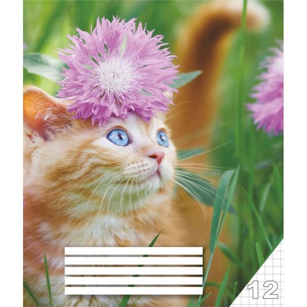 Burtnīca 12lp. rūtiņu, 84580