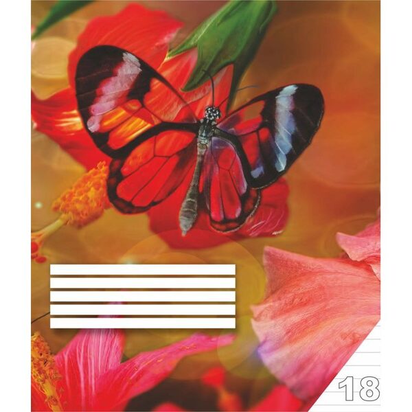 Burtnīca 18lp. līniju, 84583