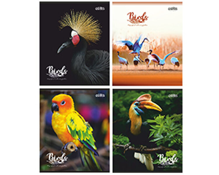 Klade standarta 48 lapas, līniju, Putni, Osiris , JT 7041