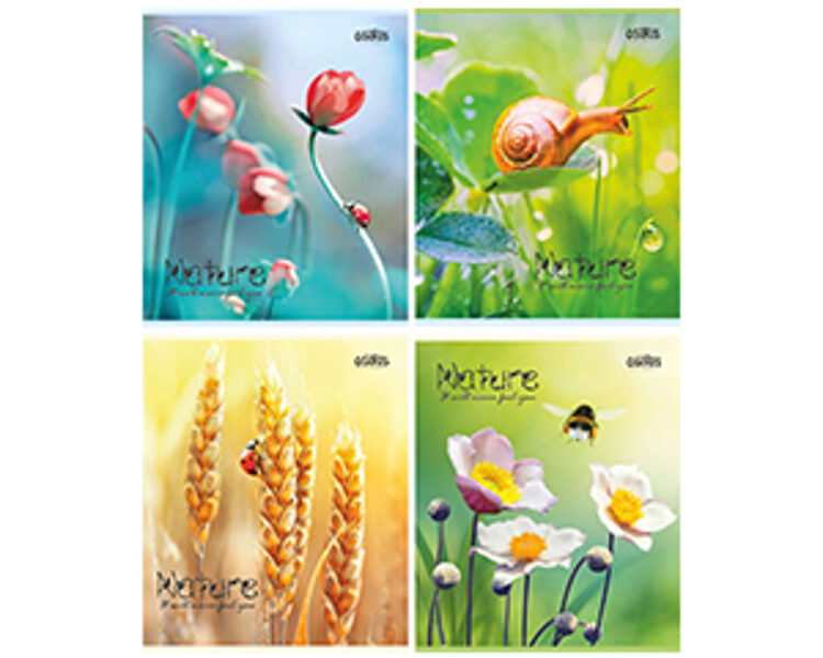 Klade standarta 48 lapas, rūtiņu, Daba, Osiris , JT 7027