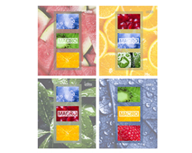 Klade standarta 48 lapas, rūtiņu, MACRO, Osiris, JT 8482