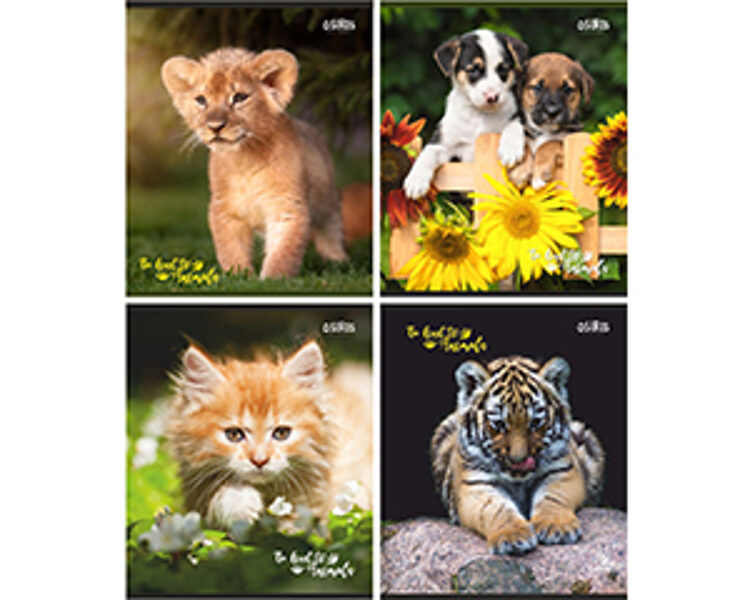 Klade standarta 48 lapas, rūtiņu, Mazie zvēri, Osiris, JT 7072