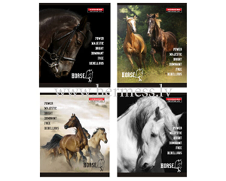 Klade standarta 48 lapas, rūtiņu, Zirgi, Osiris, JT 1322